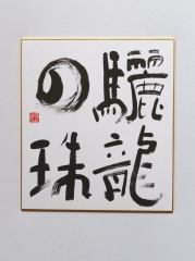 shikishi008
