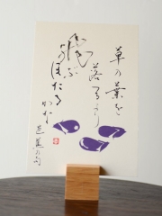 hagaki007