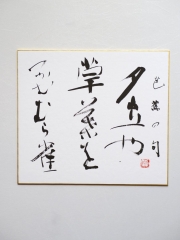 shikishi012